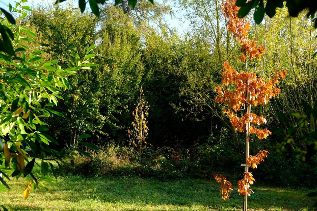 La Maison Jaune A La Janaie Parigne ภายนอก รูปภาพ